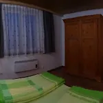 Karin Humer 巴德伊舍