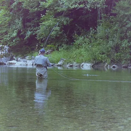 아파트 페린보눙 카린 후머 *