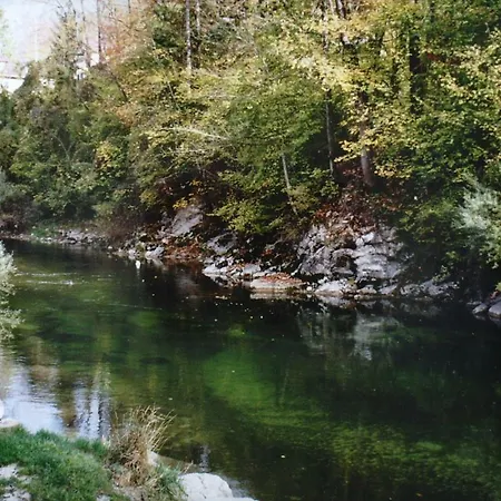 페린보눙 카린 후머