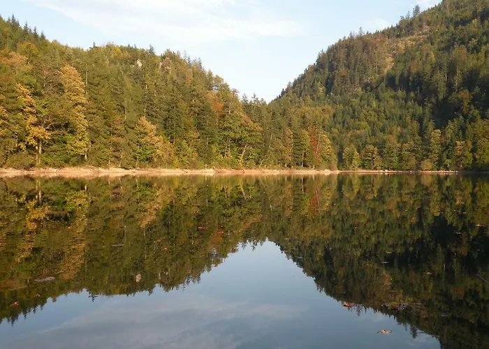 Karin Humer Apartamento