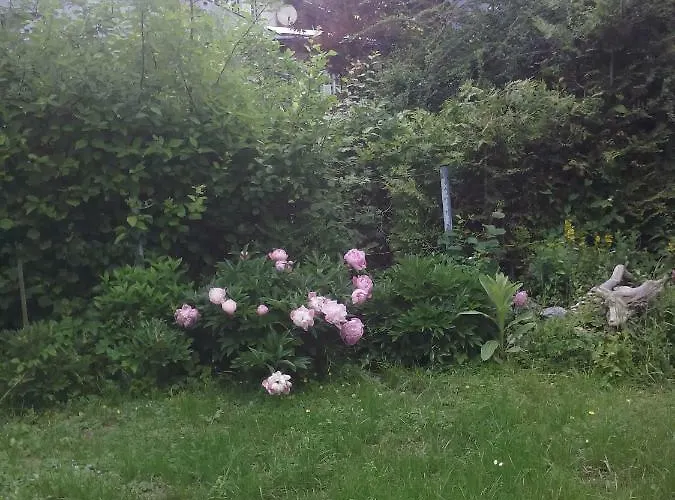 Karin Humer Bad Ischl