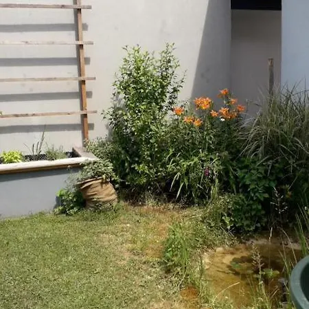 Karin Humer Bad Ischl