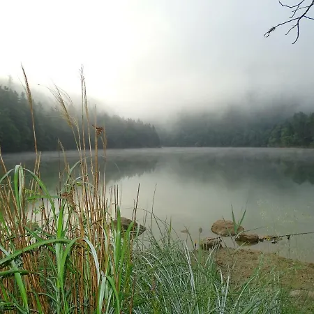 Lägenhet Karin Humer