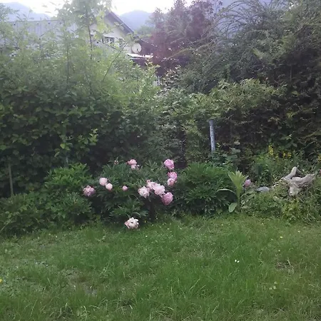 Karin Humer Bad Ischl